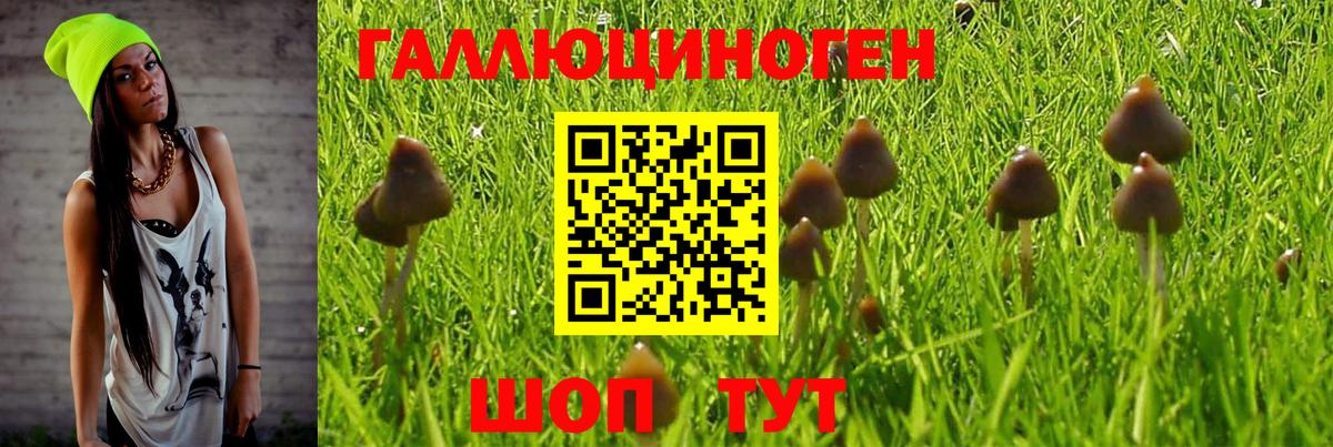 Искитим  Псилоцибиновые грибы ЛСД  Галлюциногенные грибы мицелий  Вход с VPN 